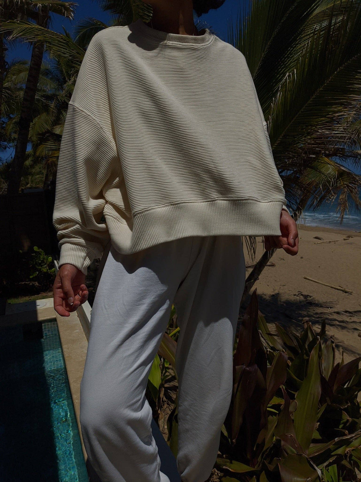 Margot Rippled Cotton Cropped Sweatshirt: Cream / O/S
